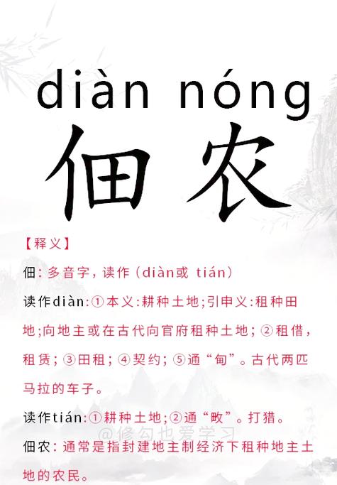 仙门佃农小说笔趣阁