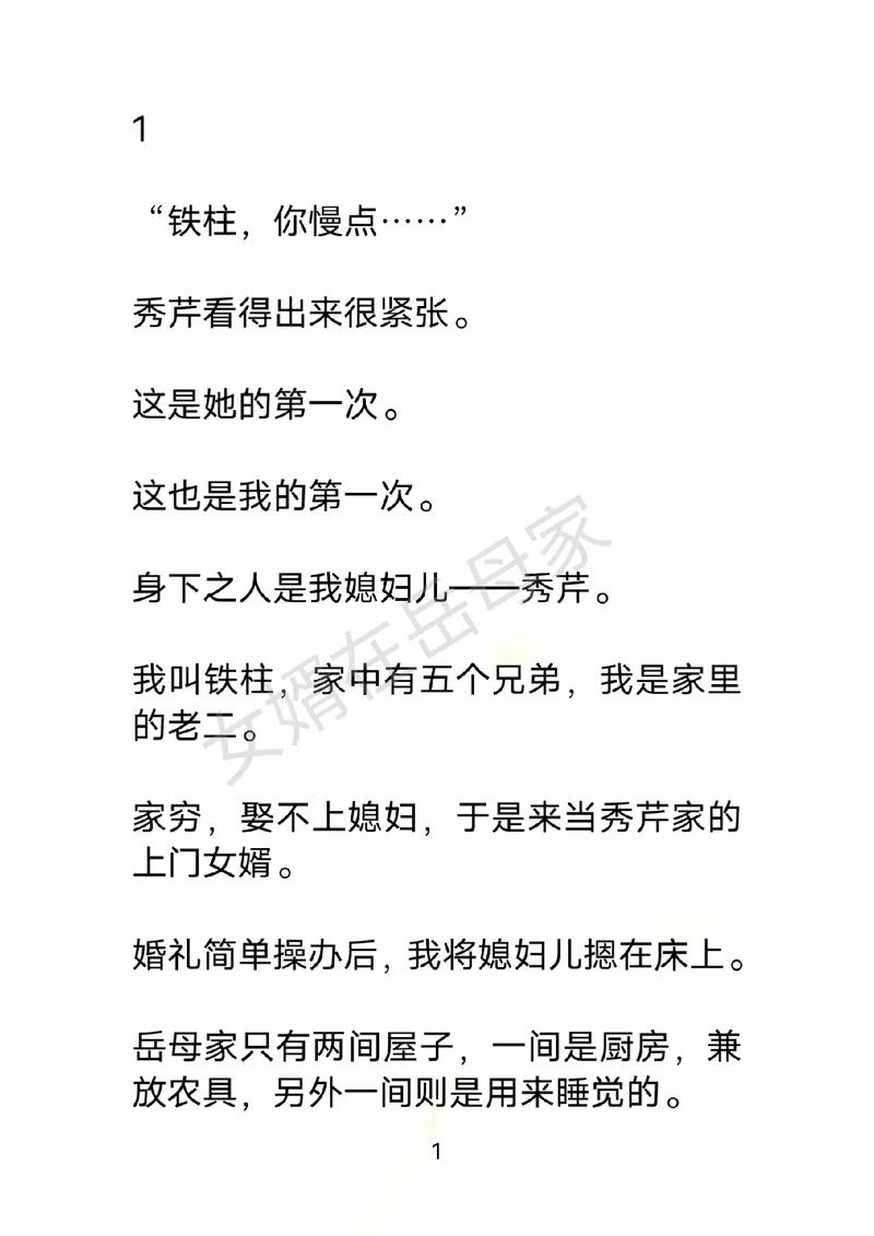 妈妈女婿小说免费阅读