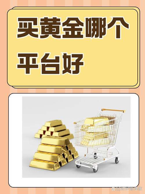 小金矿赚钱平台