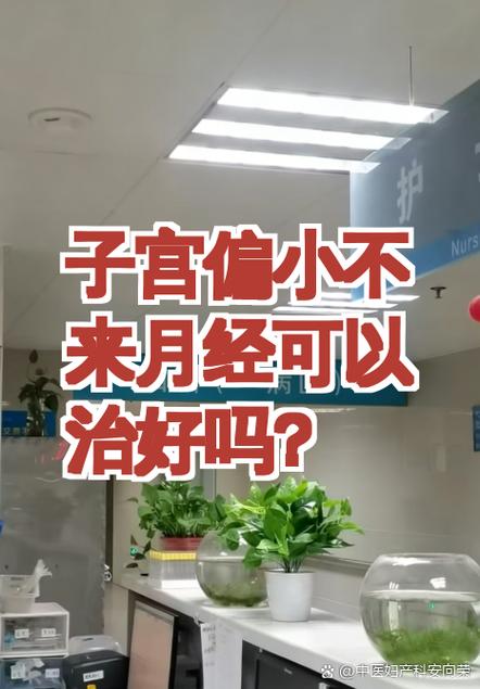 子宫小不来月经能治好吗