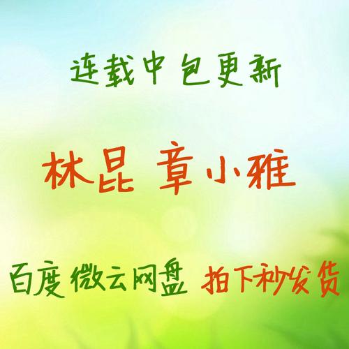 超级都市奶爸林昆全集目录