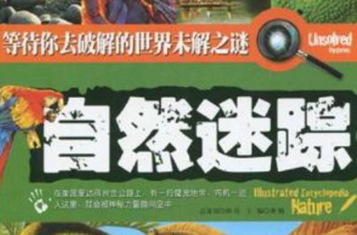 吾爱破解论坛