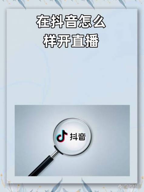 jz在哪里直播
