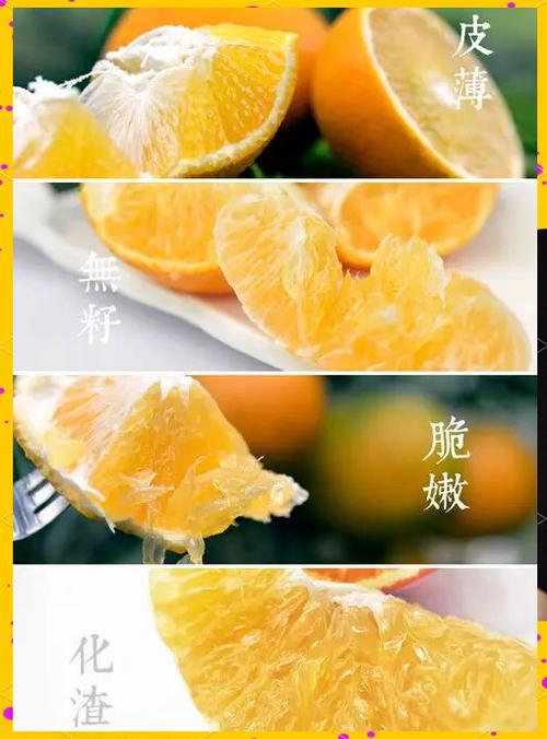 橘子和橙子上供哪个好