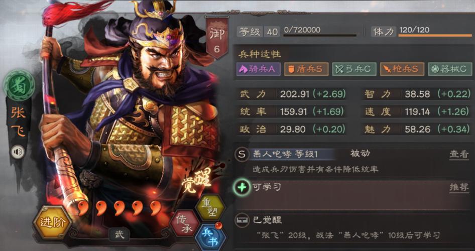 三国志10十大神将