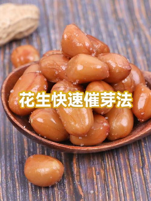 豆子怎么催芽