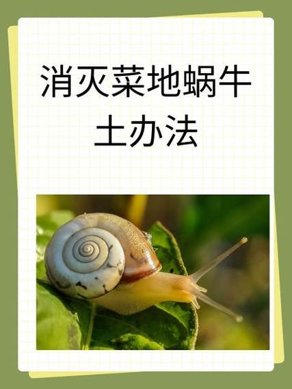 蜗牛阅读免费时长2小时