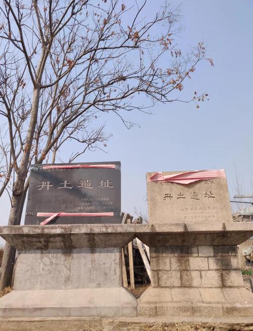 姜丹祖籍是哪里人