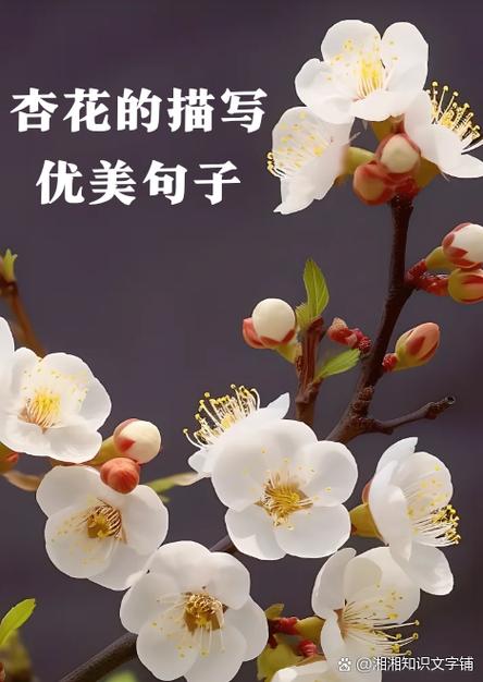 春天愉悦心情的唯美句子