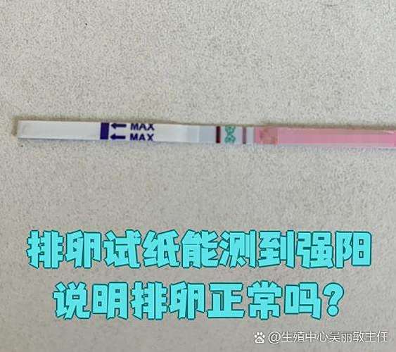 月经干净几天是排卵期容易怀孕