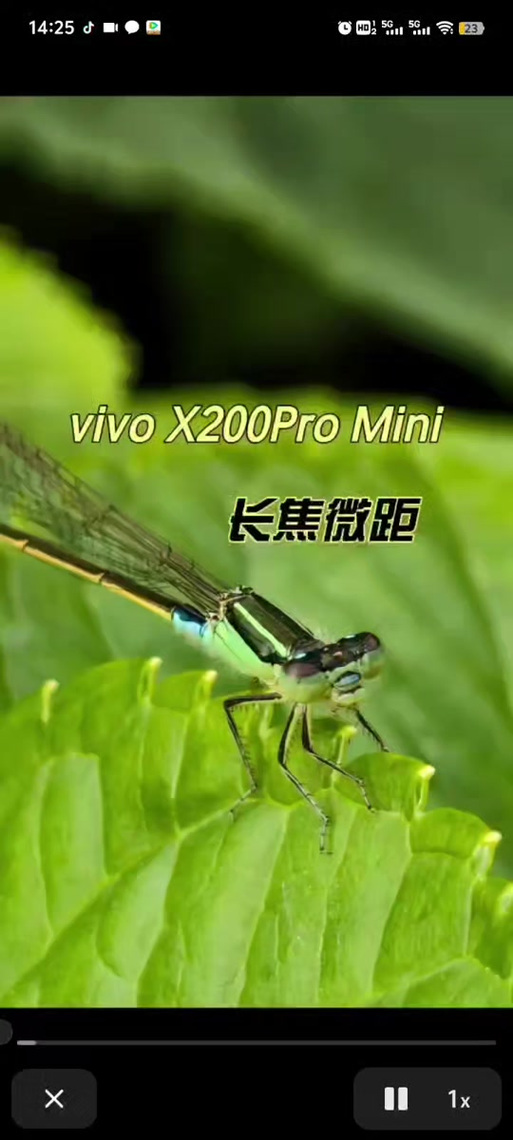 vivo手机桌面创意布局