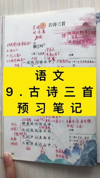 四年级语文课堂笔记