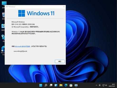win11专业版