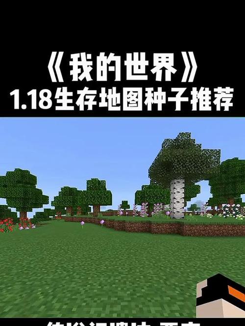 mc最稀有5种种子