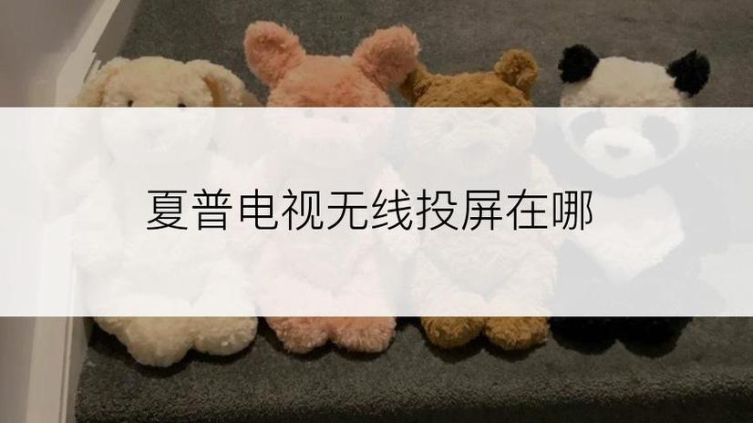 夏普电视无线投屏在哪