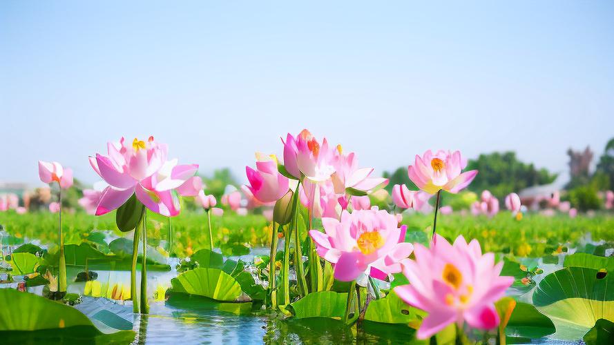 怎么把多余的桌面删除
