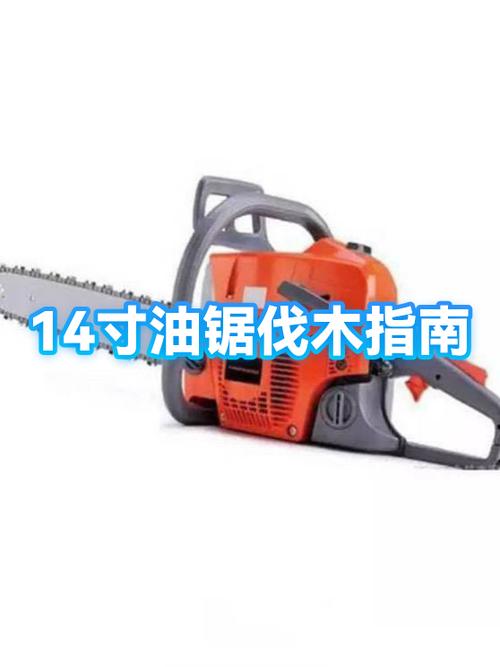 现在还有伐木工吗