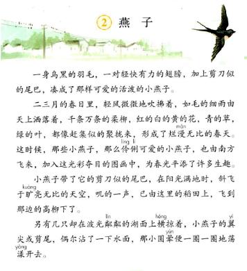 《燕子》课堂笔记