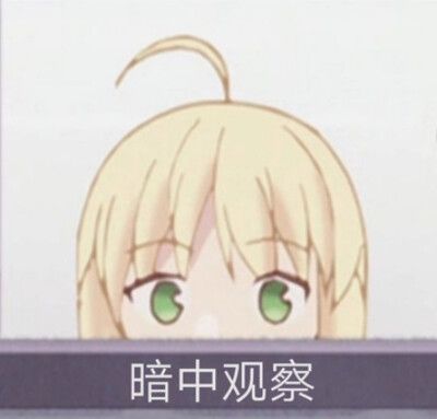 saber表情包gif图