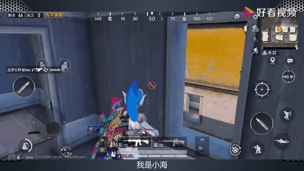 和平精英防闪框架