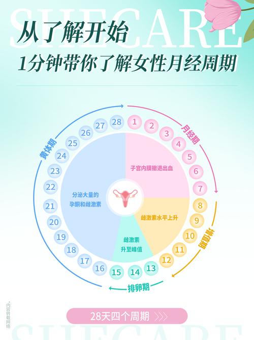 美柚如何查看所有经期记录