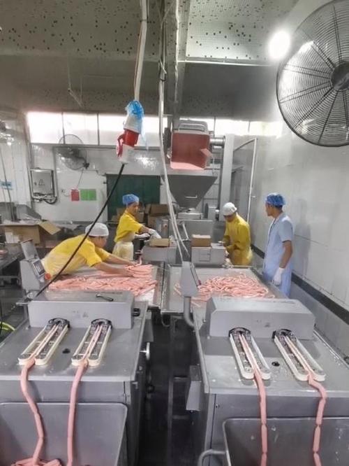 自己开个香肠加工厂