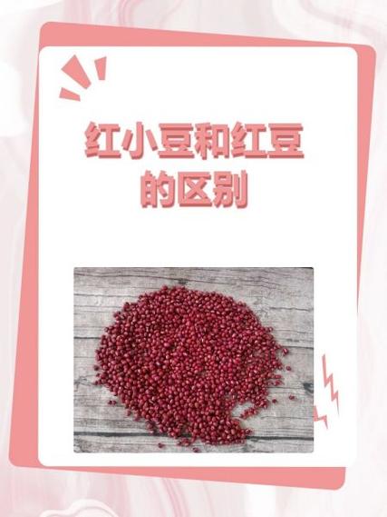 赤小豆和红豆的禁忌