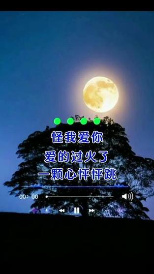 是我爱你过了火歌曲