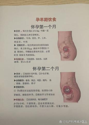 怀孕多久会孕吐