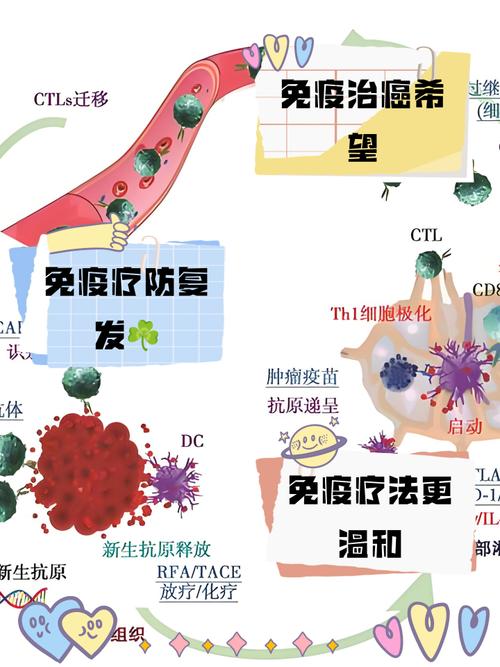 化疗后的免疫治疗是什么意思