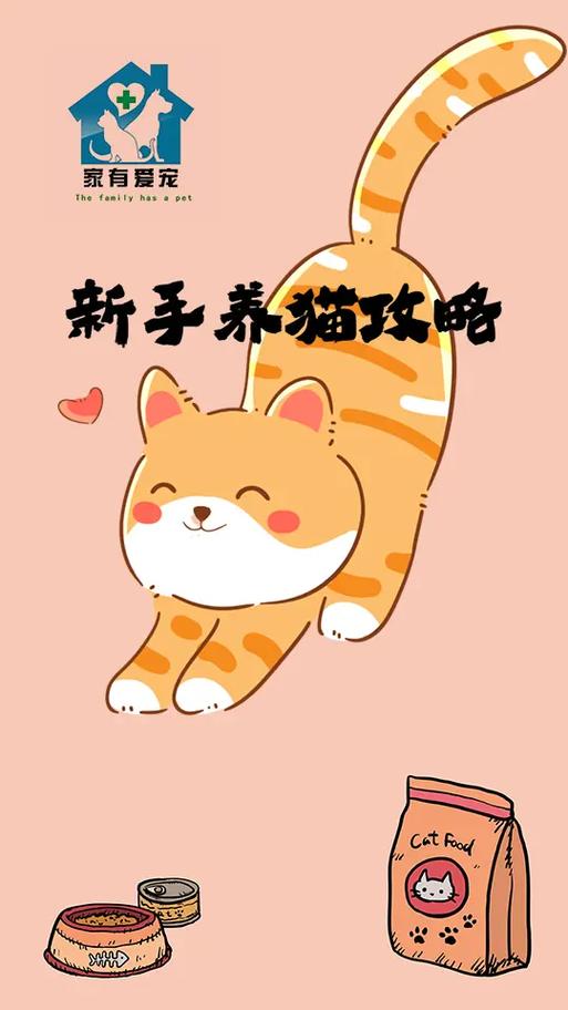 宠物猫怎么喂养