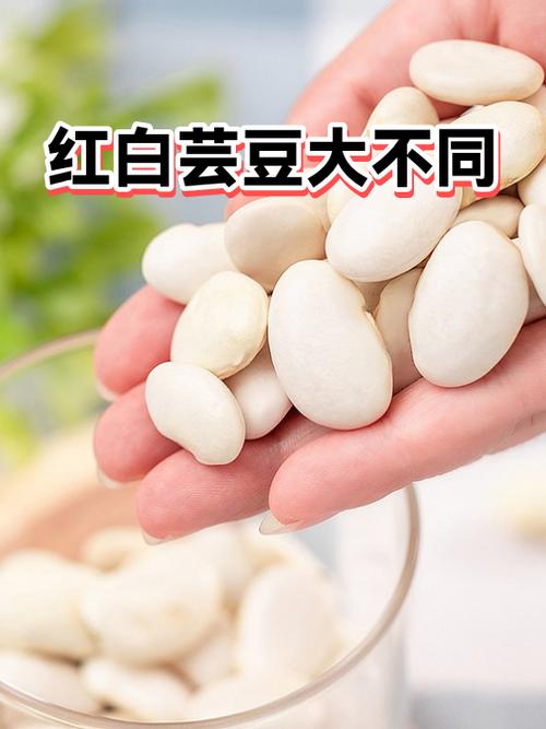 白芸豆和红芸豆的区别
