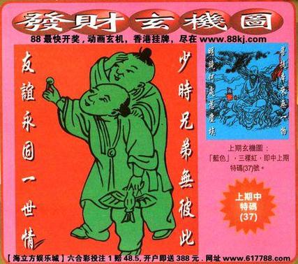 怎么买马新手入门教程