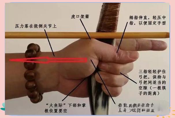 如何正确使用弓
