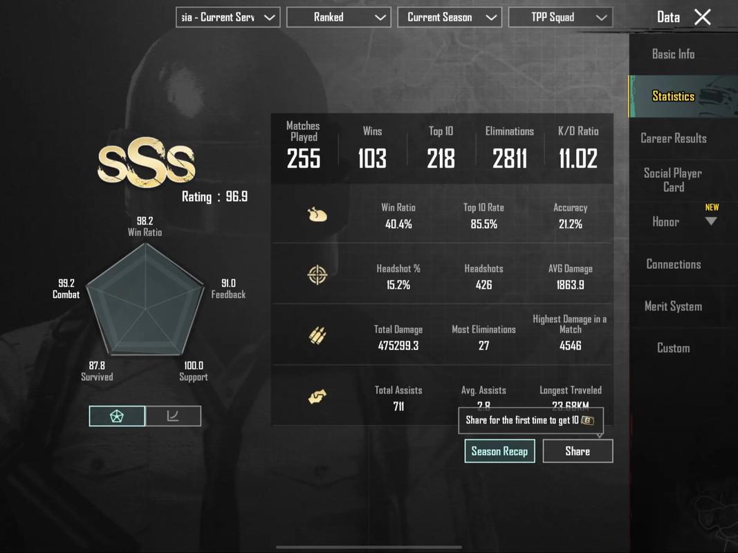 pubg职业选手参数网站
