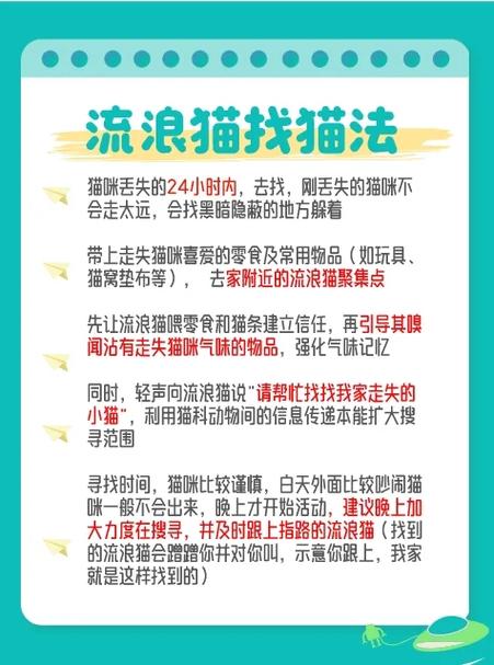 猫丢了找回来的巧方法