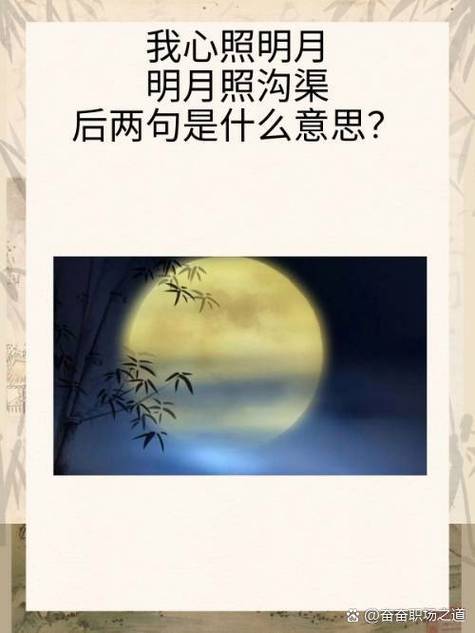 我心向明月后妈