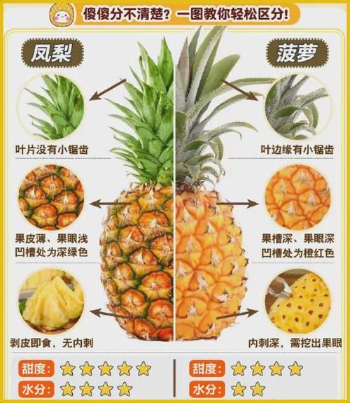 凤梨与菠萝的区别