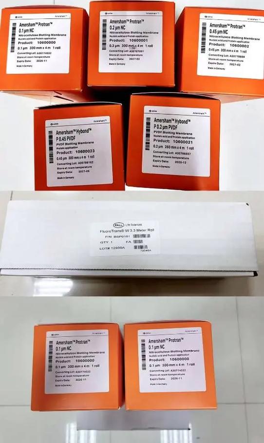 cytiva中国有几家工厂