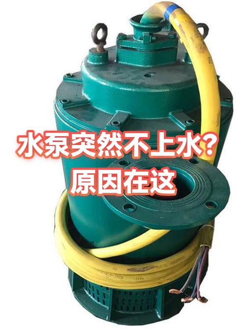 抽水泵抽不上水怎么解决