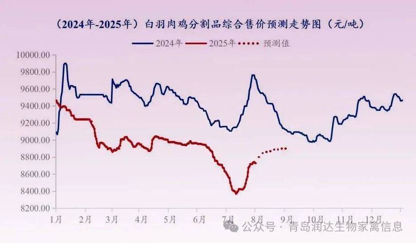 2026年养鸡会暴涨吗