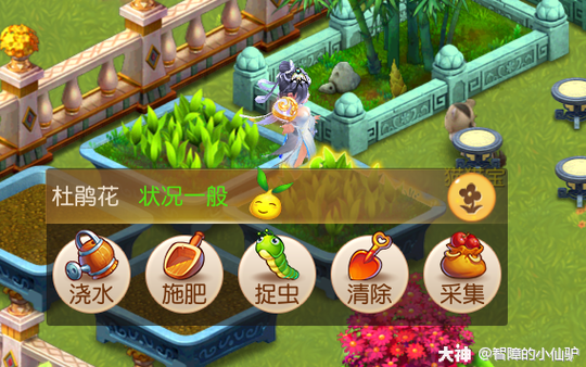 宅院子app