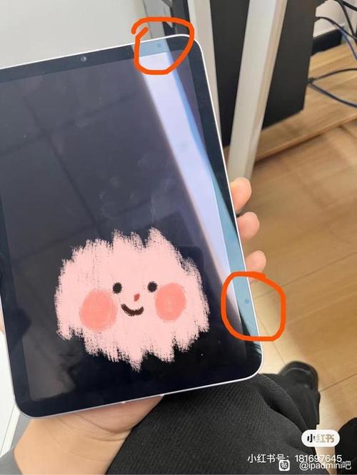 ipad屏幕中间有个圆圈
