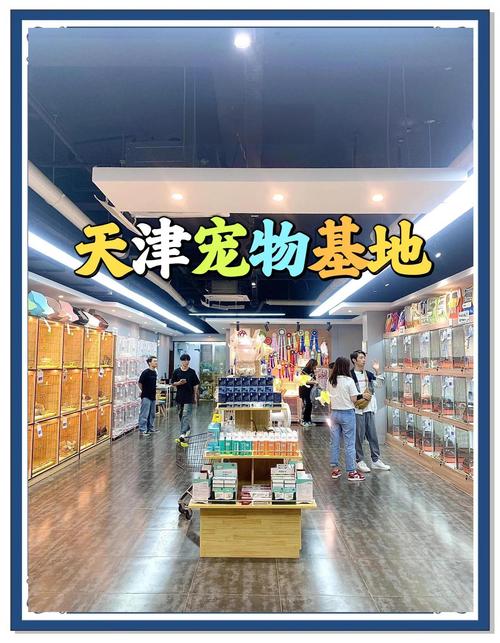 宠物衣服批发市场货源