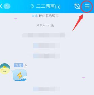 怎么关闭进群特效