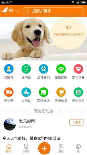 网上兽医在线咨询