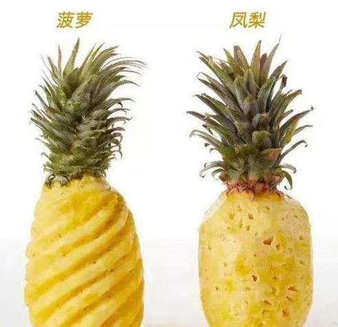 凤梨的日语