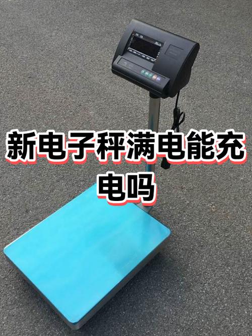 电子秤厂家联系方式
