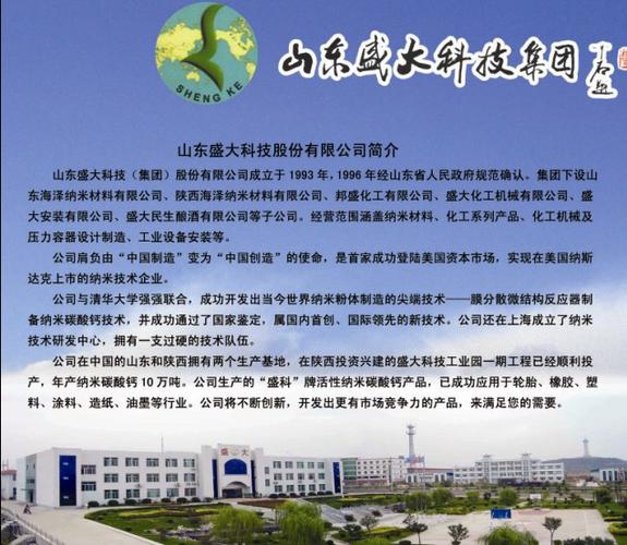 盛大公司简介