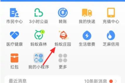 重庆蚂蚁在哪里关闭